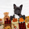 ARAHANT Multifunctional Thanksgiving Pumpkin Turkey Maple Leaves Retro Plaid Blanket, Flannel, Soft and Comfortable, Suitable for Sofa, Living Room, Bedroom, Good Gift Choice, 120" x 90" for Family view 4