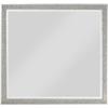 Acme Sliverfluff Rectangular Wooden Mirror in Mirrored and Champagne view 1