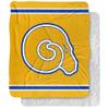 Albany State University Blanket, 50"x60" Primary Logo Stripes Silky Touch Sherpa Back Super Soft Throw Blanket view 1