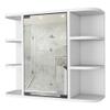 FM FURNITURE 24" W Valdez Engineered Wood Medicine Cabinet with Mirror in White view 1