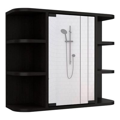FM FURNITURE Valdez 24" H Engineered Wood Medicine Cabinet with Mirror in Black