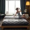 Traditional Japanese Tatami Floor Mat, Single/Double Soft Thicken Folding Sleeping Pad, Portable Mattress for Dorms/Rental Rooms,C,120x200 cm view 1