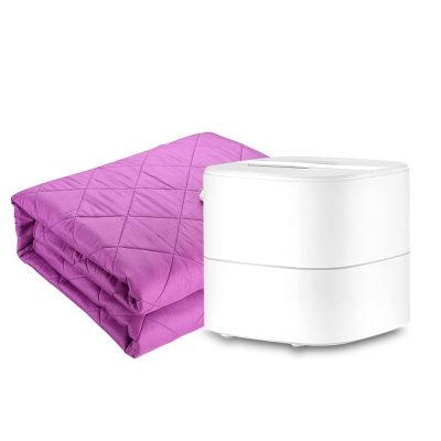 Heating Mattress Pad Water Heated Mattress Pad, Comfortable and Safe Velvet Heated Mattress, Plumbing Electric Blanket with Remote Control, Purple (Size : 2x1.5m)