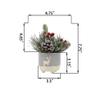 Flora Bunda Xmas Mix in Deer Ceramic Pot 3.5X3.5X3 view 2