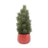 Flora Bunda 12" H Tabletop Xmas Tree in Sweater Ceramic Pot 4X4X3 view 1