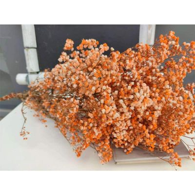 HANRUO Dried Flowers- Natural Fresh Dried Preserved Flowers, Flower Bouquets Gift for Wedding Decoration, Home Decor (Color : Orange, Size : 40 55cm (30g))