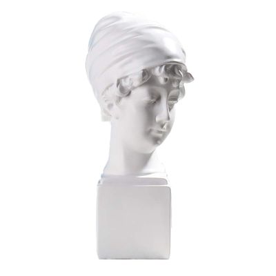 ECYC Ltd Figure Bust Statue Resin Art Crafts Sculpture Statue Room Decorative Plaster for Sculpture Painting David Venus Plaster Portrait