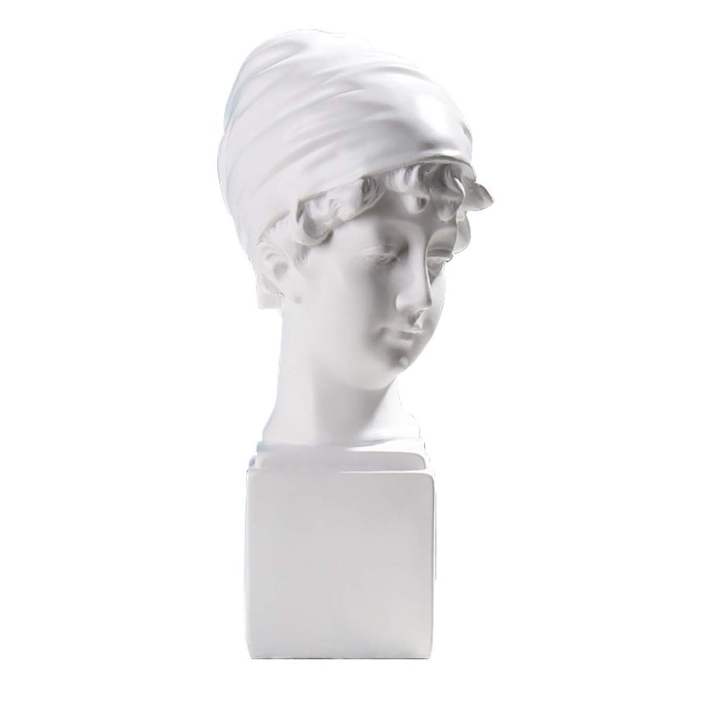 ECYC Ltd Figure Bust Statue Resin Art Crafts Sculpture Statue Room Decorative Plaster for Sculpture Painting David Venus Plaster Portrait