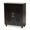 Baxton Studio Renley Shoe Cabinet, Black/Silver view 1