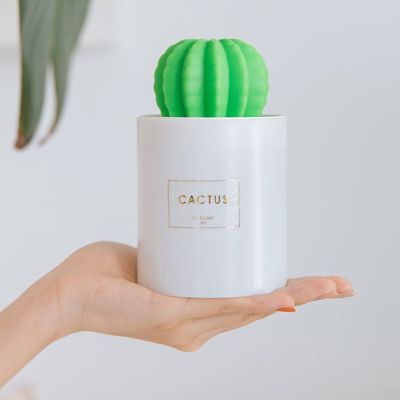 Mini humidifier,280ml USB Cold Fog Portable Cactus air humidifier with Night Light,Ultra-Quiet Bedroom Home Office Yoga car Travel,White.Automatic Shutdown (Color : White, Size : 1388cm/533in)