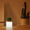 Mini humidifier,280ml USB Cold Fog Portable Cactus air humidifier with Night Light,Ultra-Quiet Bedroom Home Office Yoga car Travel,White.Automatic Shutdown (Color : White, Size : 1388cm/533in) view 2