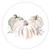 100 Pcs Thankful Stickers Thanksgiving Pumpkin Stickers Thanksgiving Day decorations Stickers for Envelope Seals Candy Party Decorations view 1