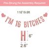 I'M 16 BITCHES Banner,Pre-strung, No Assembly Required, 16th Birthday Party Decorations,Rose Gold Glitter Paper Garlands Backdrops, Letters Rose Gold Betteryanzi view 2