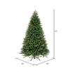 Vickerman 6.5' x 52" Tiffany Fraser Fir Artificial Christmas Tree, Unlit view 4