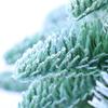 JANXLE Small Artificial Christmas Trees Tabletop White Cedar Mini Desk Christmas Tree Decoration for Shops Home Office,Xmas Ornaments (1FT) view 3