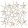 Nautical Crush Trading Starfish & Knoby Starfish Decor - (10) White Starfish 4-6" and (10) Knobby Starfish 2-3.5" - Beach Wedding Decor - Coastal Party Decorations - Seashell Decor view 1