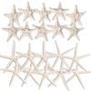 Nautical Crush Trading Starfish & Knoby Starfish Decor - (10) White Starfish 4-6" and (10) Knobby Starfish 2-3.5" - Beach Wedding Decor - Coastal Party Decorations - Seashell Decor view 2