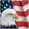 American Bald Eagle American Flag Patriotic Blanket Super Soft Silk Touch Plush Fleece Throw 50" X 60" view 1