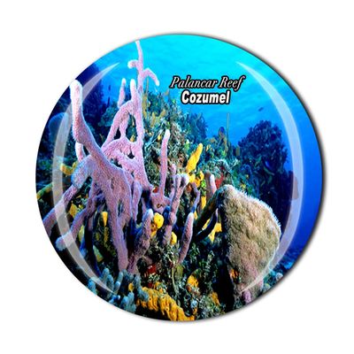 Palancar Reef Cozumel Mexico Fridge Magnet Crystal Tourist Souvenir Gift Collection Refrigerator Magnetic Sticker