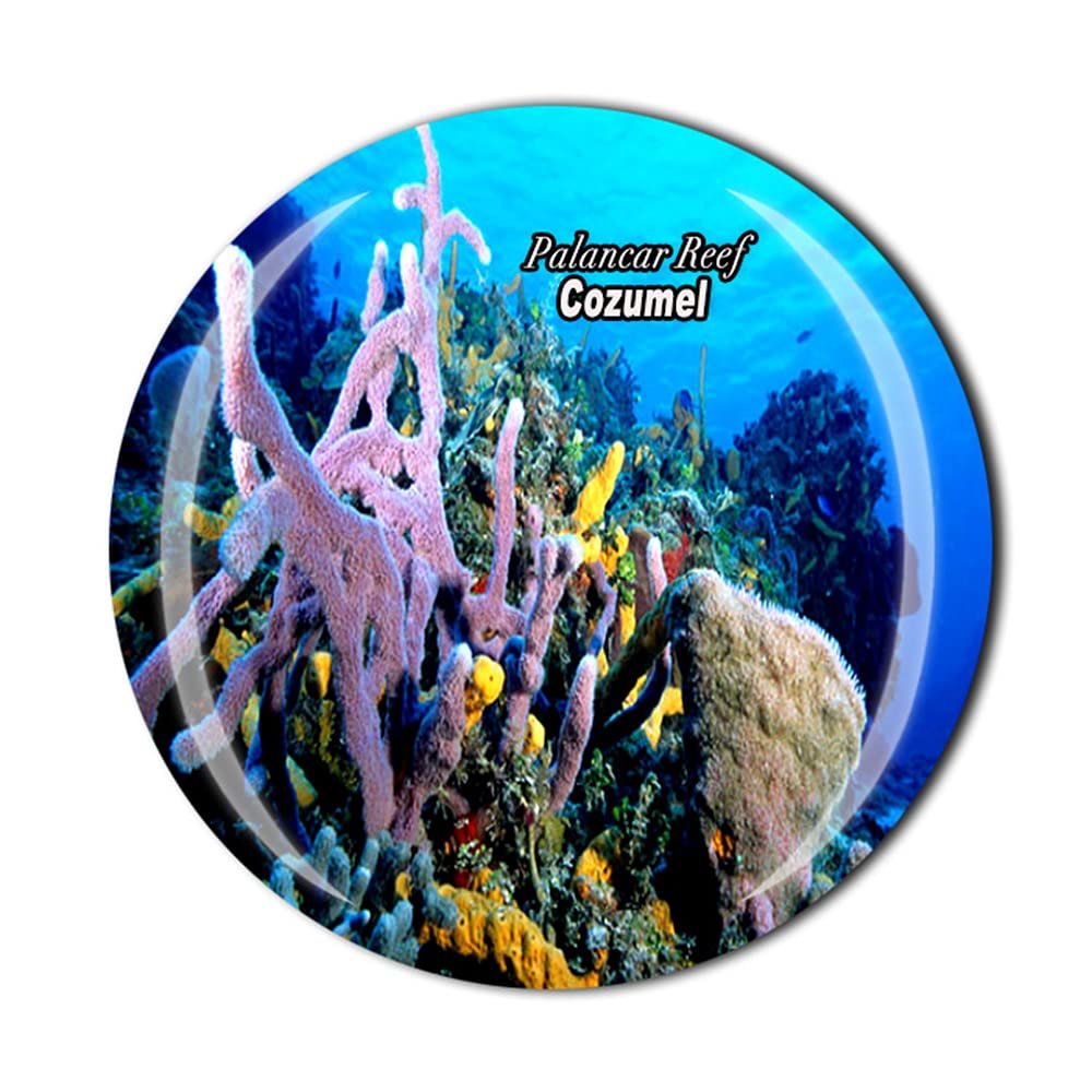 Palancar Reef Cozumel Mexico Fridge Magnet Crystal Tourist Souvenir Gift Collection Refrigerator Magnetic Sticker
