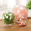 30pcs 7/8/9/10cm Transparent Hanging Ball New for Xmas Tree Bauble Clear Plastic Home Party Christmas Decorations Gift Craft (9cm) view 4