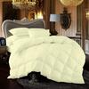 LinenEra 1 Piece 100% Pure Cotton All Season Comforter Full XL (82'' x 86'') 600 GSM Fill Power Buffy Soft Quilted with Corner Tabs Ivory view 1