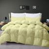 3 Pcs Comforter Set 500 GSM 100% Egyptian Cotton Down Alternative All Season Insert for Cold Weather, Sleeper Baffle Box Pinch Pleated Pin Tuck Comforter Set Oversized Queen- Aqua Quilted Set view 2