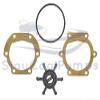 StayCoolPumps SCP- 09810B1 Impeller Kit Replaces Johnson 09-810B-1 view 2