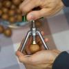 CYXZX Nutcracker Stainless Steel Chestnut Opener Portable Screw Cap Opener Pecan Cracker Nut Shell Breakers Crackers Kitchen Tools view 3