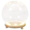 1 Set Clear Glass Cloche Dome with Wooden Base 15cm Glowing Terrarium Keepsake Display Globe LED Fairy Light Display Case for Succulents Rose Flowers Home view 1