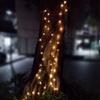 Dreamworth Copper Wire Led String Lights, Plug in 165ft 50M 500 Led Fairy Lights with Remote 8 Modes Timer Dimmable for Indoor Outdoor Christmas Bedroom Wedding (Warm White) view 4
