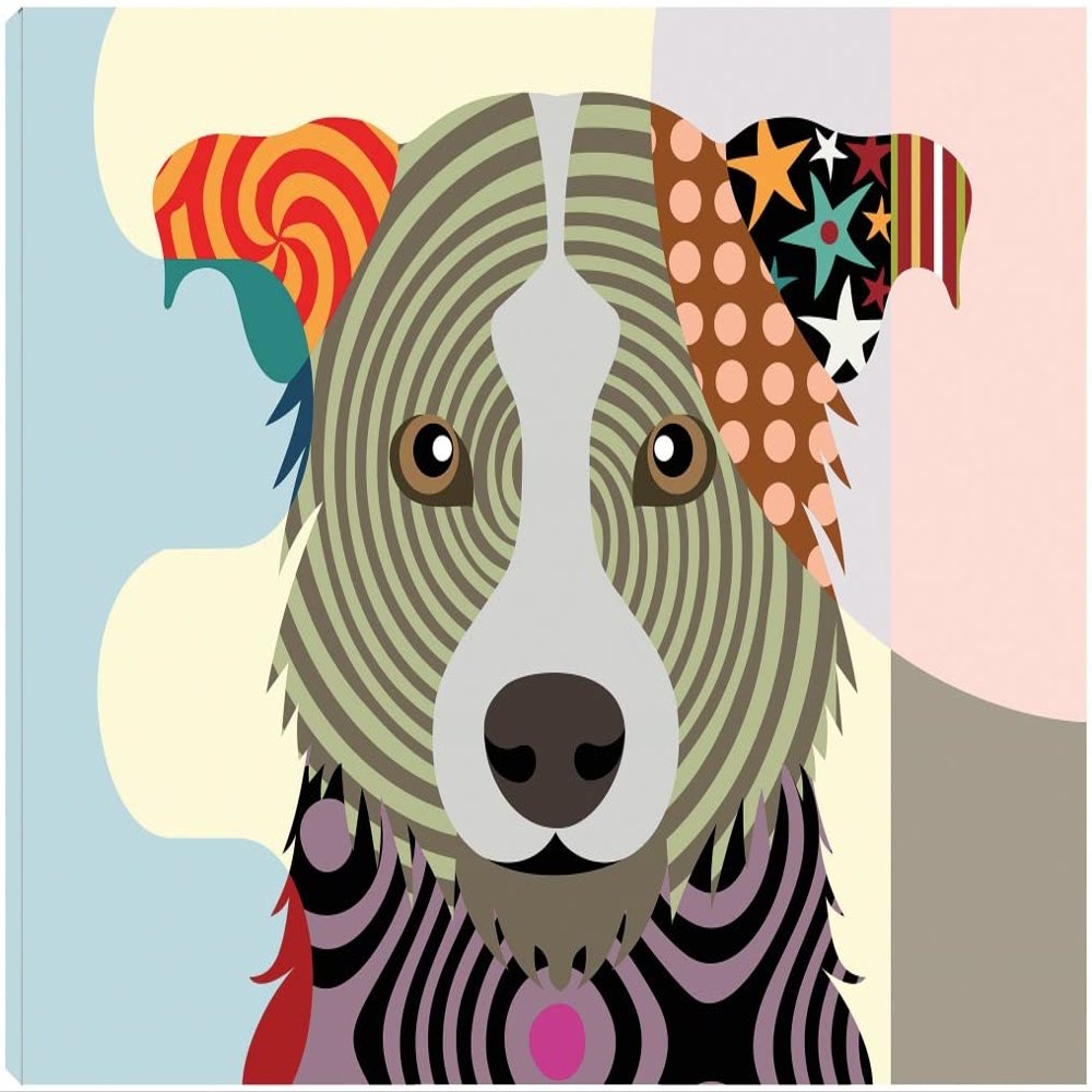 Fine Art Canvas Border Collie Canvas Wall Decor by Artist Lanre Adefioye for Living Room, Bedroom, Bathroom, Kitchen, Office, Bar, Dining & Guest Room - Ready to Hang - 20 in x 15 in