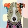 Fine Art Canvas Border Collie Canvas Wall Decor by Artist Lanre Adefioye for Living Room, Bedroom, Bathroom, Kitchen, Office, Bar, Dining & Guest Room - Ready to Hang - 20 in x 15 in view 1