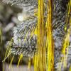 MTLEE 3000 Strands Christmas Tree Decorations Tinsel Garland Iridescent Tinsel Foil Fringe Icicles for Christmas Home Hair Decor Holiday Birthday Graduation Supplies (Gold) view 4
