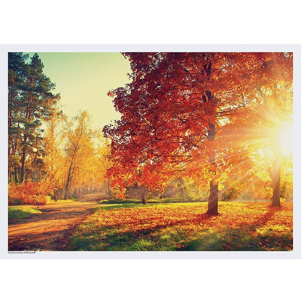 14in. x 10in. Autumn Walk Disposable Paper Placemats (100 Pack)