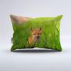 INDREAM Slouching Fox Duvet Cover Smart Forest Animals Bedding Set for Bedroom Decoration,Twin/Full/Queen/King Size Bed Sets 3/4 Pieces (1 Duvet Cover with 2 Pillow Shams or Sheet) (KING-3PCS,C) view 2