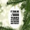 Designsify Christmas Tree Decoration, 100th Birthday Took Square Root of 10000 Years to Awesome, Oval Ornament, Gifts for Anniversary Valentines Mom Mothers Fathers Day Party, to Men Women Him view 2