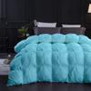 1 PC All Season Down Alternative Pinch Pleated Comforter Cal-King/King-Aqua100% Egyptian Cotton Shell Goose Down Premium Duvet Insert Comforter Ultra Soft Quilted 500 GSM with Corner Tabs view 1