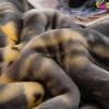 9 Lbs Heavy Winter Fleece Plush Blanket 79"X91",Korean Mink Blanket,Silky Soft and Warm, 2 Ply Reversible Raschel Bed Blanket,Gray,200X230cm view 3