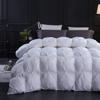 1 PC All Season Down Alternative Pinch Pleated Comforter Oversized Queen-White100% Egyptian Cotton Shell Goose Down Premium Duvet Insert Comforter Ultra Soft Quilted 500 GSM with Corner Tabs view 1