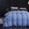 1 PC All Season Down Alternative Pinch Pleated Comforter Oversized Queen-Light Blue100% Egyptian Cotton Shell Goose Down Premium Duvet Insert Comforter Ultra Soft Quilted 500 GSM with Corner Tabs view 1
