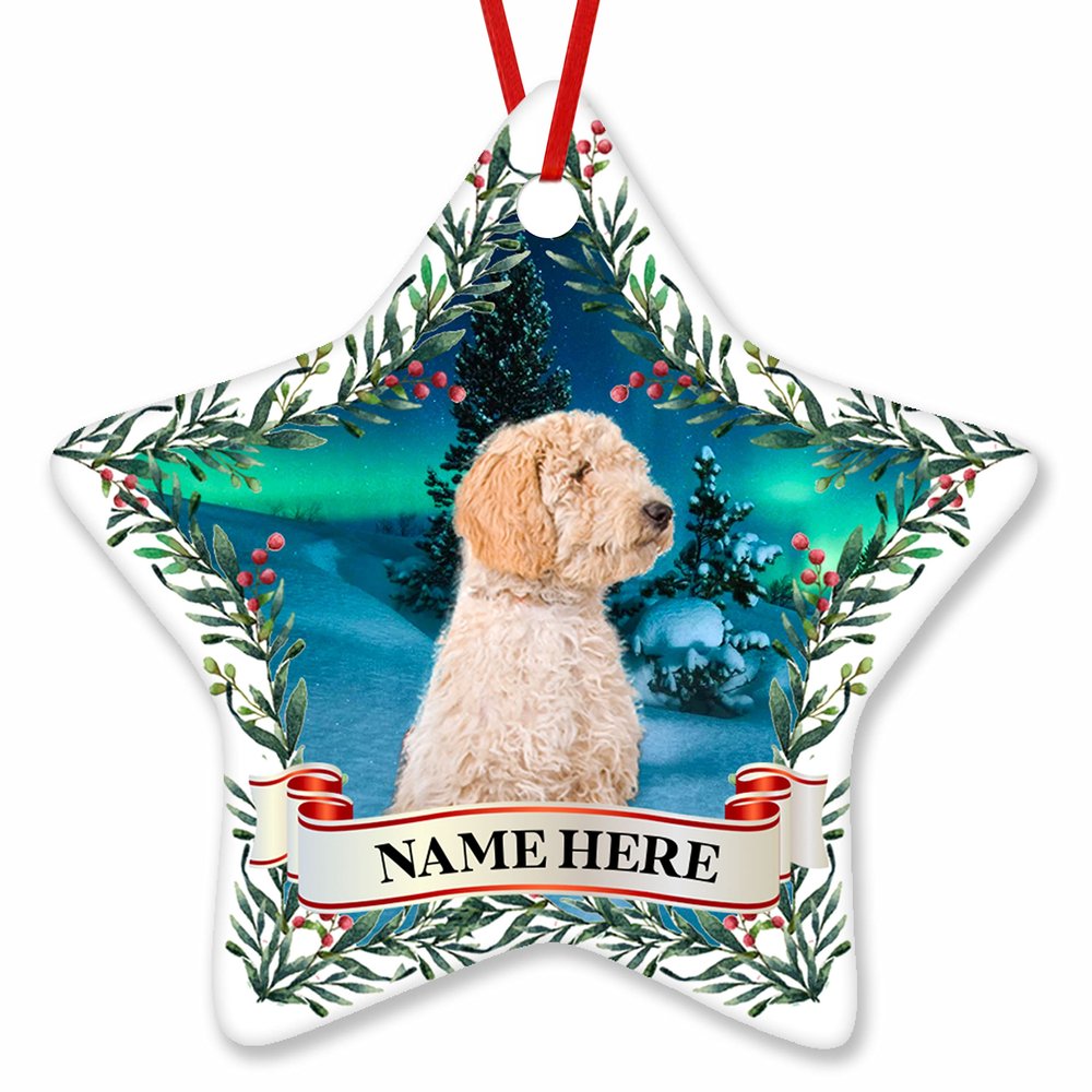 Prezzy Personalized Pyredoodle Ornaments for Christmas Tree Decorations 2023 Keepsake Gift for Animal Lovers Pet Owners Funny Merry Xmas Gifts Hanging Home Decor 3'' Star Ceramic Ornament