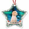 Prezzy Personalized Pyredoodle Ornaments for Christmas Tree Decorations 2023 Keepsake Gift for Animal Lovers Pet Owners Funny Merry Xmas Gifts Hanging Home Decor 3'' Star Ceramic Ornament view 1