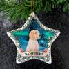 Prezzy Personalized Pyredoodle Ornaments for Christmas Tree Decorations 2023 Keepsake Gift for Animal Lovers Pet Owners Funny Merry Xmas Gifts Hanging Home Decor 3'' Star Ceramic Ornament view 2
