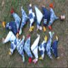 15 Tota Bird Bell Prosperity Hens Mobile String Decoration Indigo Color 100 cm Length view 4
