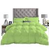 1 Piece Amuze Bedding Pom Pom Pinch Pleated Comforter Set 800 TC 100% Egyptian Cotton, White Vintage Pom-Pom Fringe Super Soft (Full/Queen , Sage ) view 3