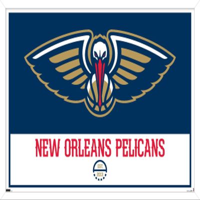 Trends International NBA New Orleans Pelicans - Logo 21 Wall Poster, 14.725" x 22.375", White Framed Version