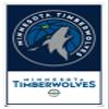 Trends International NBA Minnesota Timberwolves - Logo 21 Wall Poster, 14.725" x 22.375", White Framed Version view 1