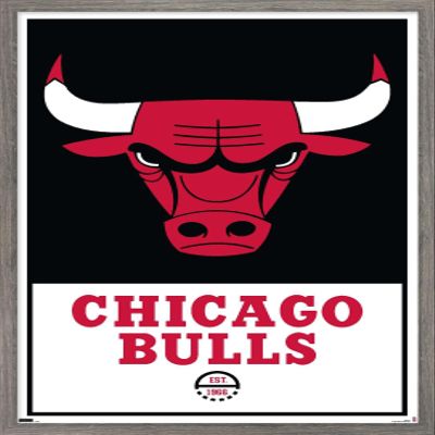 Trends International NBA Chicago Bulls - Logo 21 Wall Poster, 14.725" x 22.375", Barnwood Framed Version