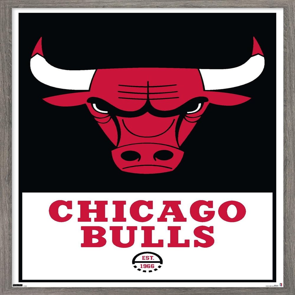 Trends International NBA Chicago Bulls - Logo 21 Wall Poster, 14.725" x 22.375", Barnwood Framed Version